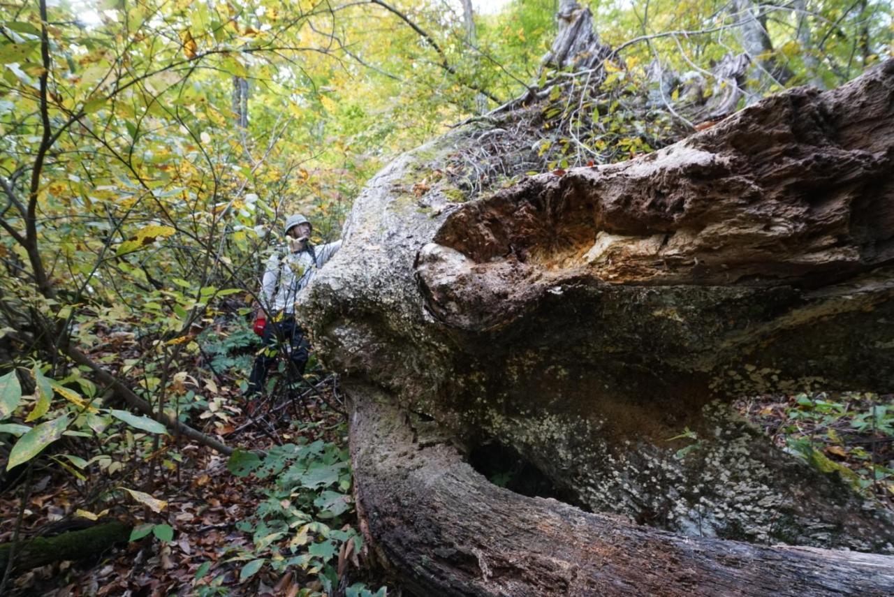 Shiroyamakan Shirakawa  Dış mekan fotoğraf